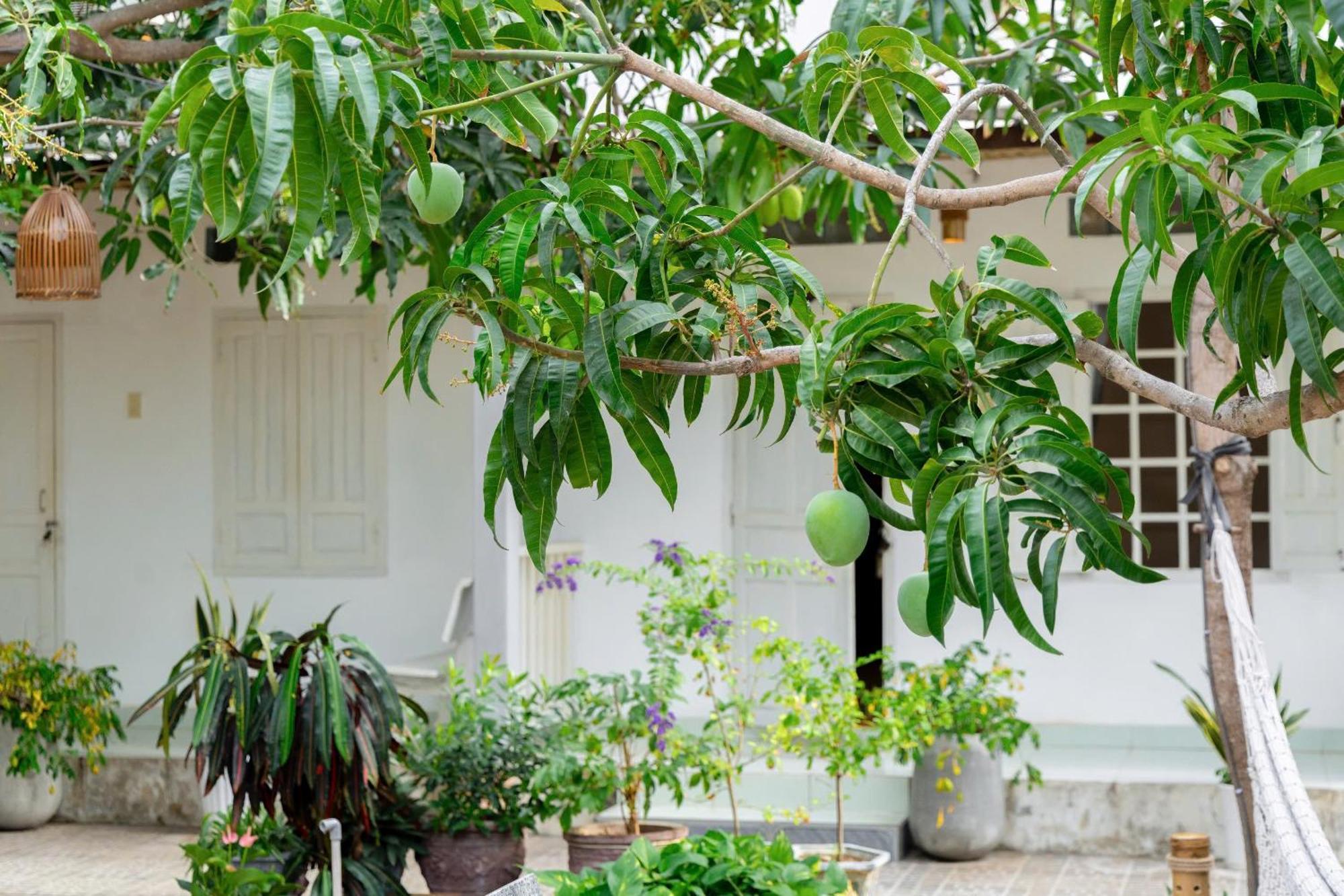 Binhyen Homestay มุยเน่ ภายนอก รูปภาพ